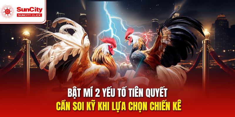 Bật mí 2 yếu tố tiên quyết cần soi kỹ khi lựa chọn chiến kê