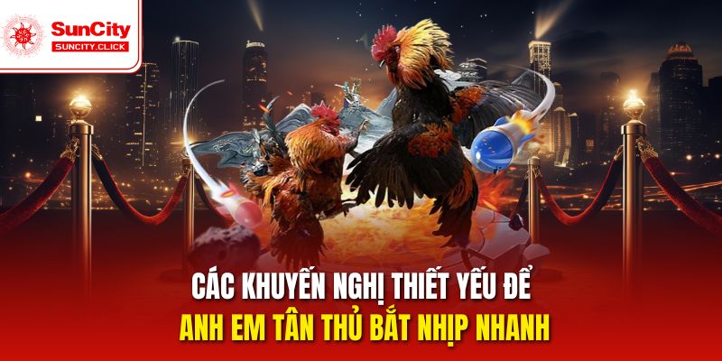 Các khuyến nghị thiết yếu để anh em tân thủ bắt nhịp nhanh