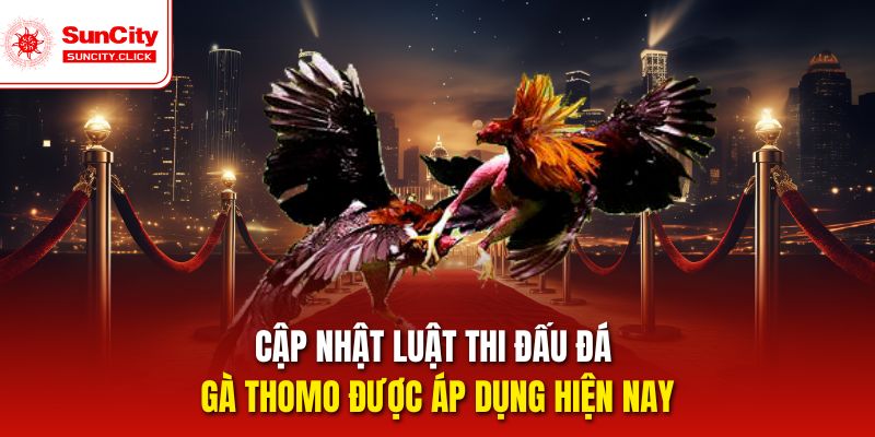 Hệ thống luật rõ ràng giúp kèo cược Thomo minh bạch và dễ soi.