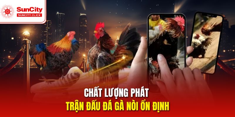 Chất lượng phát trận đấu đá gà nòi ổn định