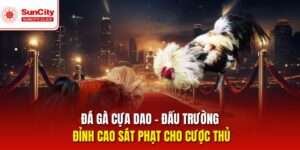 Đá Gà Cựa Dao – Sân Chơi Sát Phạt Đỉnh Cao