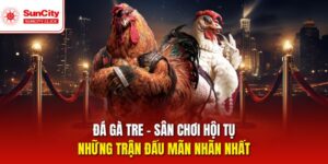 Đá Gà Tre – Nơi Hội Tụ Các Màn So Tài Kịch Tính