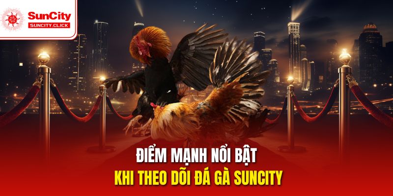 Điểm mạnh nổi bật khi theo dõi đá gà Suncity