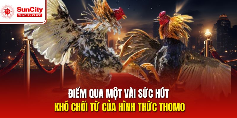 Điểm qua một vài sức hút khó chối từ của hình thức Thomo