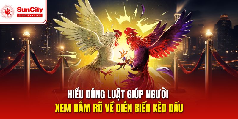 Hiểu đúng luật giúp người xem nắm rõ về diễn biến kèo đấu