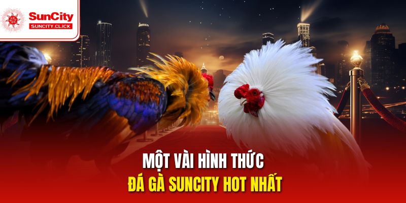 Một vài hình thức đá gà Suncity hot nhất