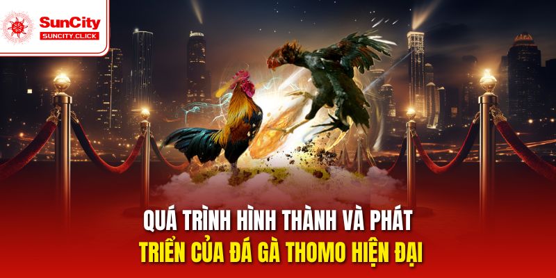Quá trình hình thành và phát triển của đá gà Thomo Suncity