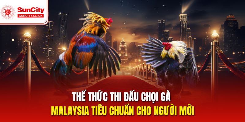 Cách thức thi đấu đá gà Malaysia đơn giản cho tân thủ