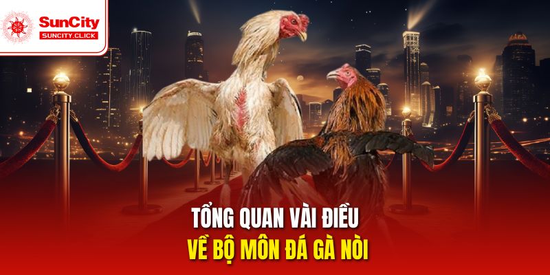 Đá gà nòi thu hút nhờ lối đánh lì đòn và bản lĩnh chiến kê.