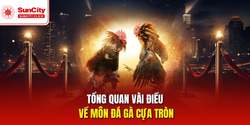 Tổng quan vài điều về môn đá gà cựa tròn