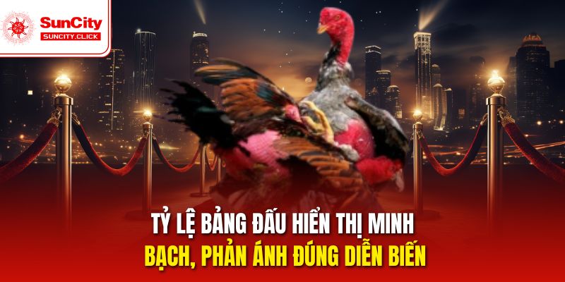 Tỷ lệ bảng đấu hiển thị minh bạch, phản ánh đúng diễn biến