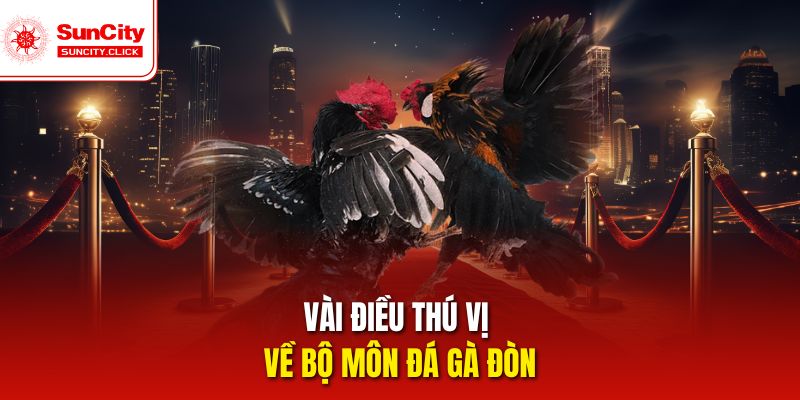 Vài điều thú vị về bộ môn đá gà đòn
