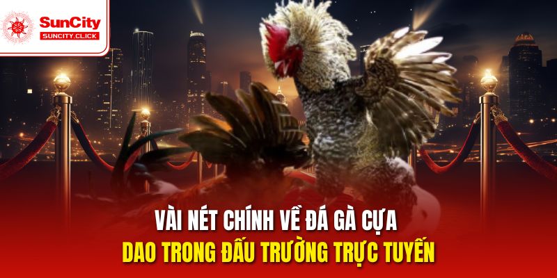 Vài nét chính về đá gà cựa dao trong các trận đấu chân thực